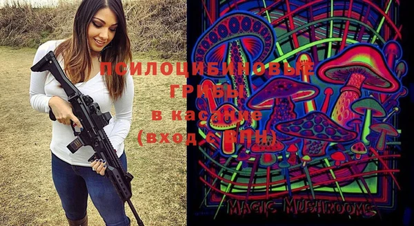 дурь Аркадак