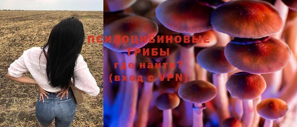 стафф Арсеньев