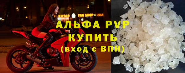 стафф Арсеньев
