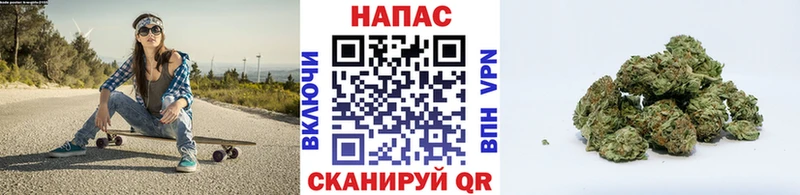 наркотики  Усмань  МАРИХУАНА сатива 